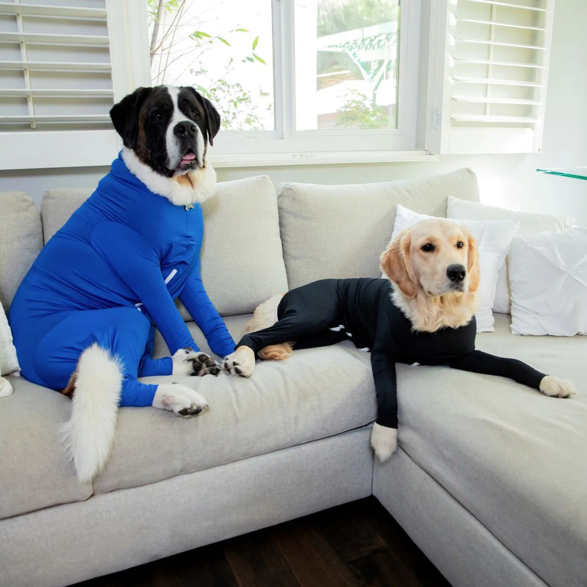 ® Original Dog Onesie