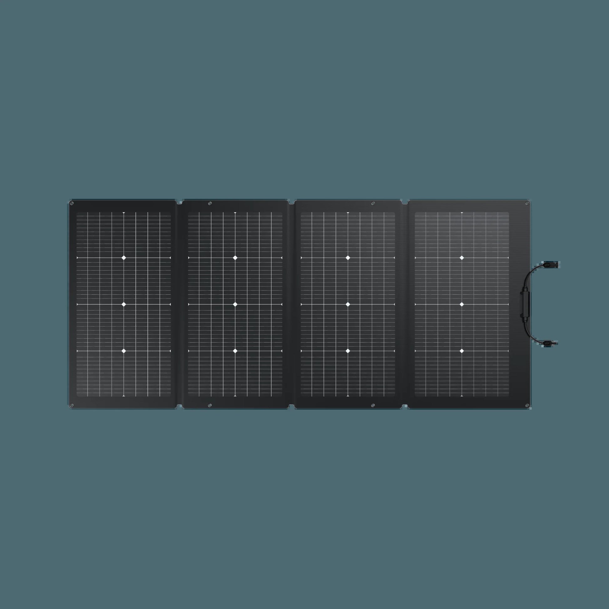 Ecoflow 220W Bifacial Portable Solar Panel